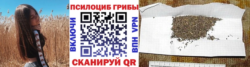 Галлюциногенные грибы мицелий  Ясногорск 